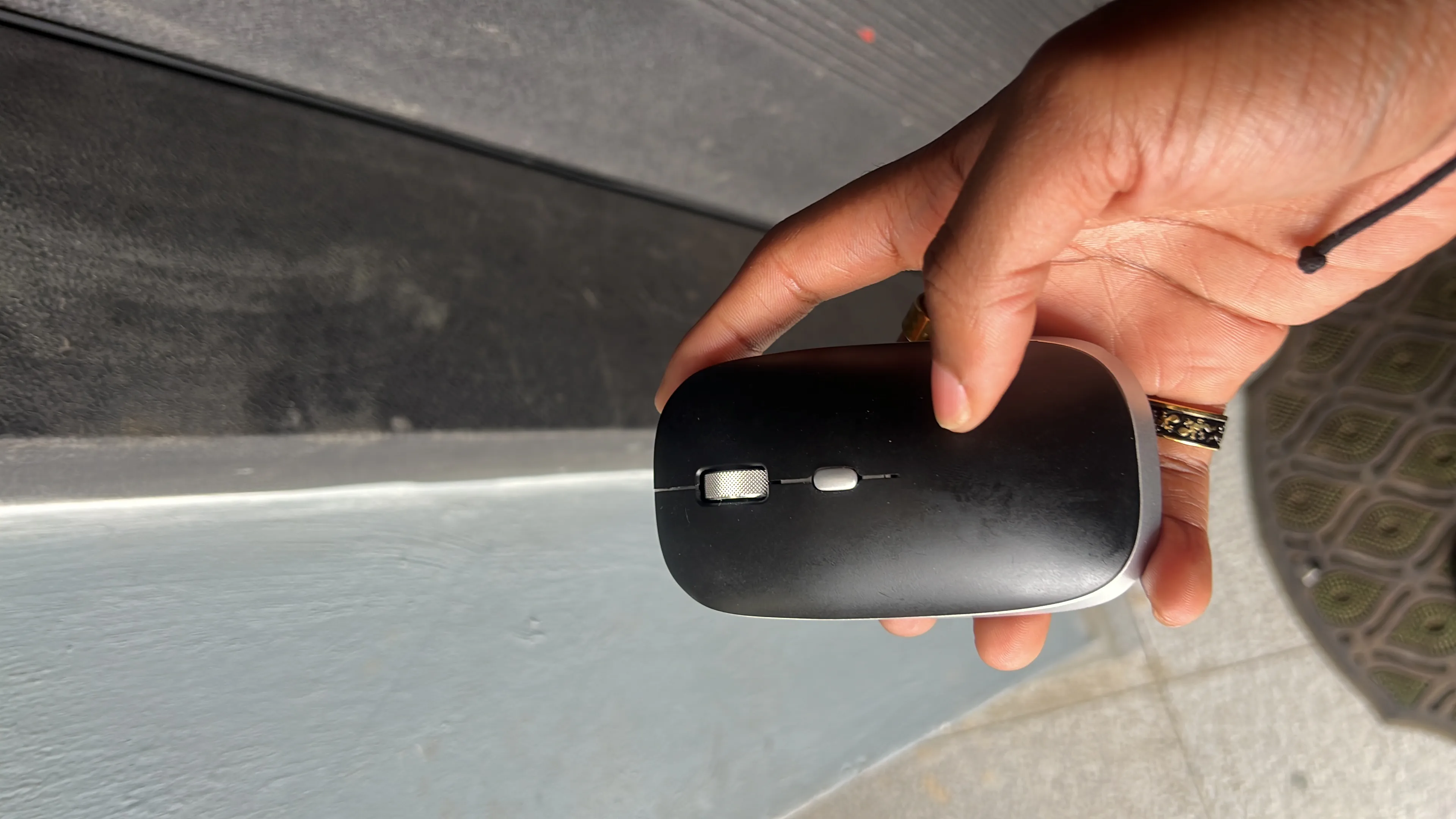 mouse