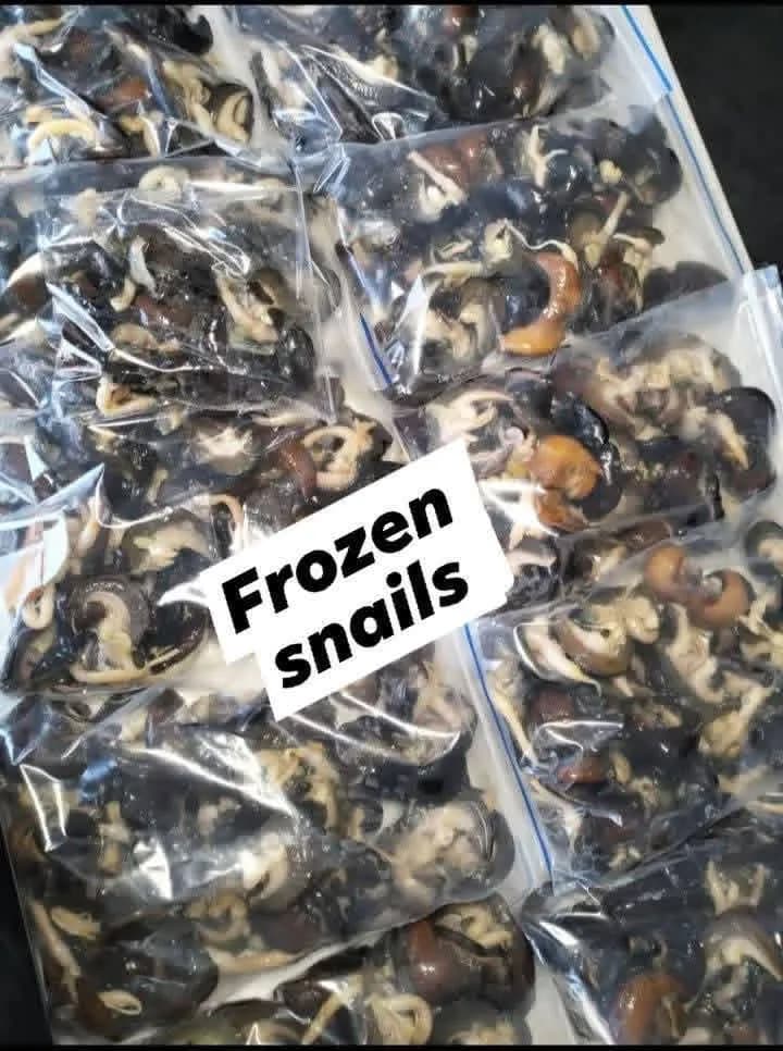 Dehydrated snails and fresh snails